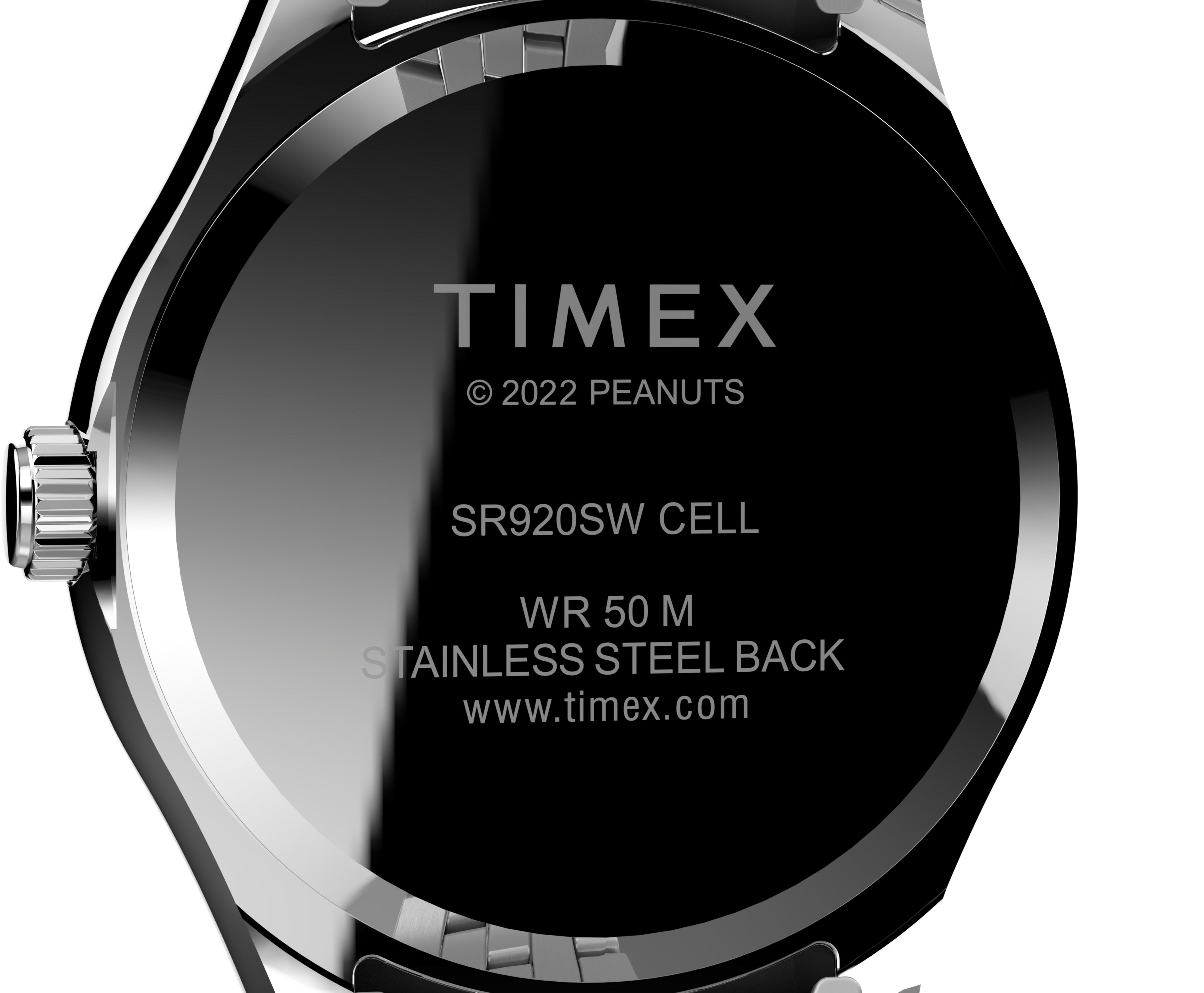 Sr 920 sw online timex